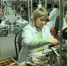 Программа профессиональной переподготовки стартовала на Брянщине - Газета Авангард