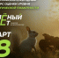 Брянцев приглашают принять участие в экологическом тестировании «Зелёный Зачёт» - Газета Авангард