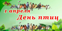 1 апреля - Международный День птиц - Межпоселенческая центральная библиотека