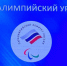В Брянске проходят мастер-классы с паралимпийцами в рамках премии «Возвращение в жизнь» - Газета Авангард