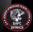 В отряд «БАРС-Брянск» требуются профессиональные повара и медики - Газета Авангард