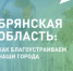 Две недели осталось до окончания голосования за объекты благоустройства в Брянской области - Газета Авангард